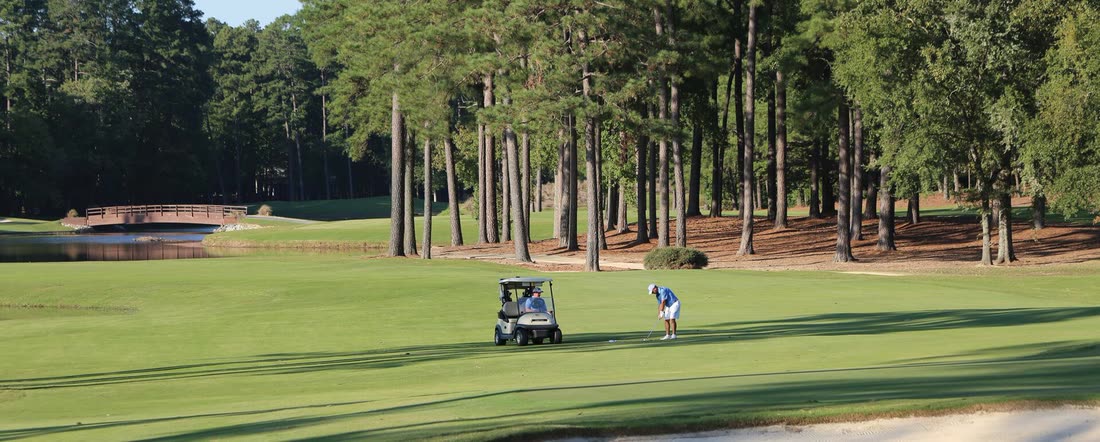 Golfers on a tree-lined MacGregor Downs fairway
